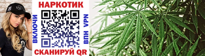 Сколько стоит Новосокольники МЕФ