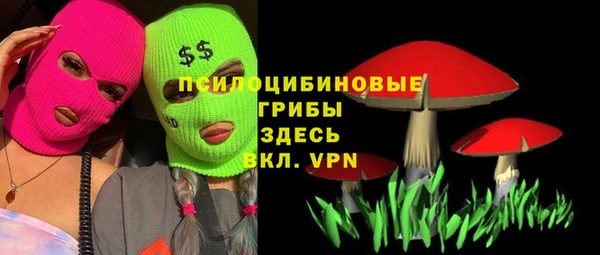 амфетамин Гусь-Хрустальный