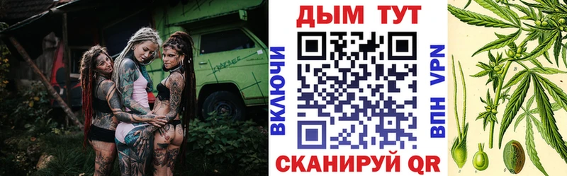 купить наркоту Новосокольники Марихуана план